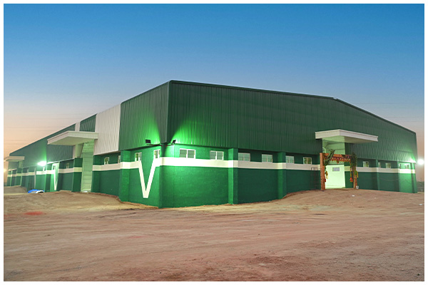 Ipulse Store