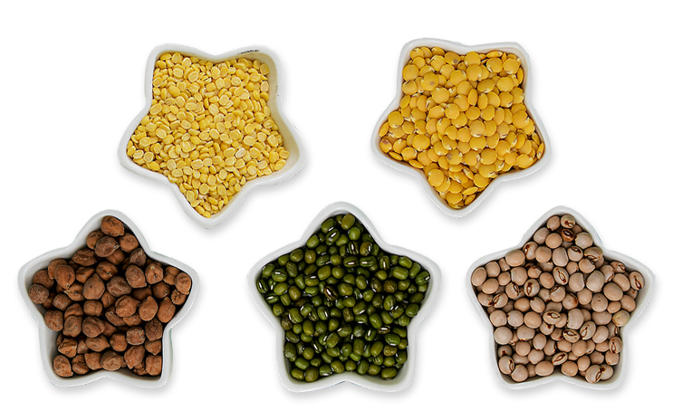 Pulses Store